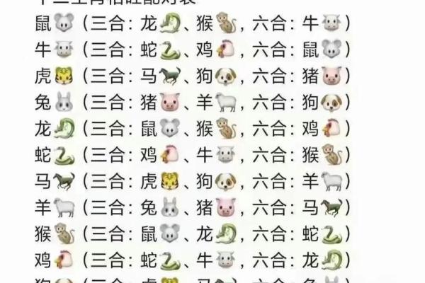 龙的生肖配对什么生肖最好