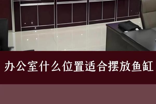 办公室风水鱼缸的摆放禁忌 鱼的数目也是有讲究的