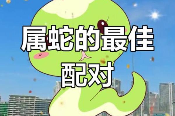 属牛和属蛇合不合 属牛属蛇配对可行吗