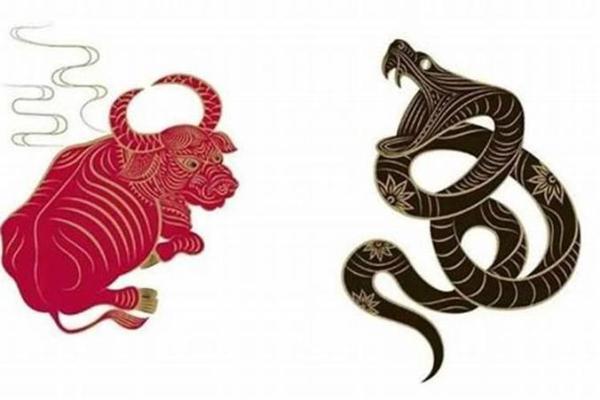 属牛和属蛇合不合 属牛属蛇配对可行吗