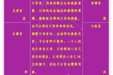 紫薇斗数12宫位