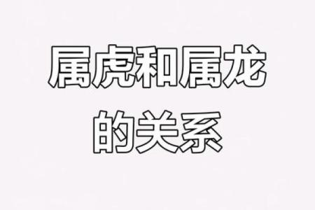 虎与最佳配鱼是什么  虎的最佳配对是什么