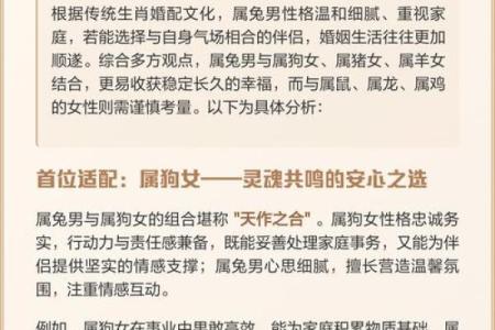 85年属什么的生肖性格 85年属什么的生肖配对兔