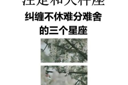 天秤女和什么座最配对 天秤男和什么座最配对