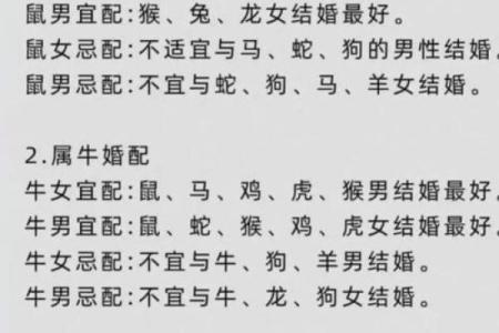 94年属什么的生肖是什么命 94年属什么的生肖配对