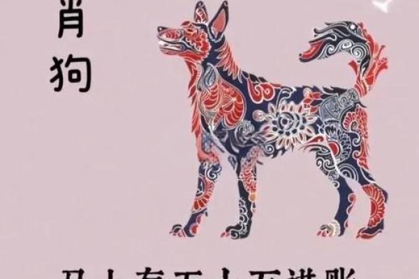 属狗是哪一年出生的 属狗的男孩出生吉日