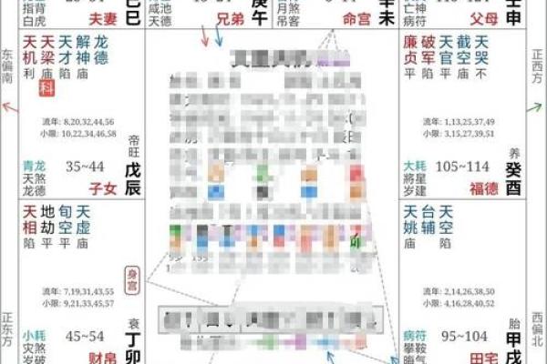 紫微斗数之预测灾厄：　自杀