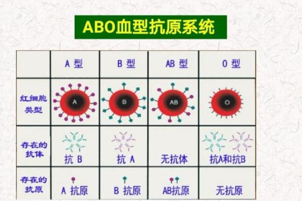 血型隐藏的病态绝症