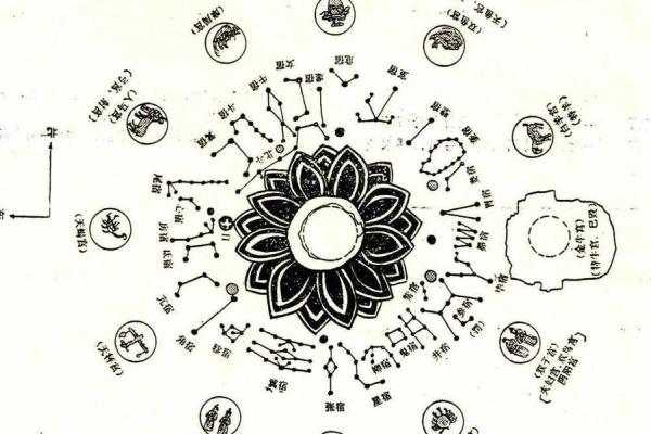 紫薇斗数主星长相