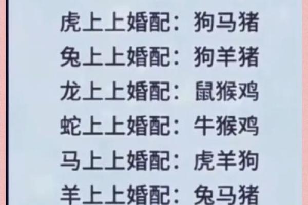 十二生肖配对表 属相配对 十二生肖配对表 属相配对