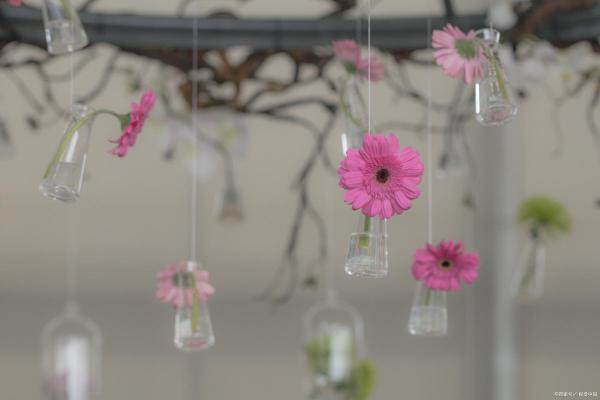 浪漫花房子风水壁纸