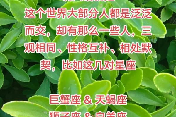 交情浅不多说 这些星座深谙言语之道