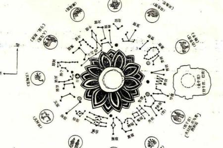 紫薇斗数主星长相