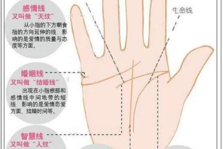 男人九种手相算命图解
