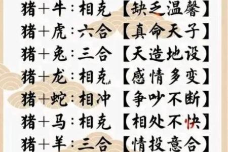属猪的女人和什么属相最配对 属猪的女人和什么属相最配婚姻
