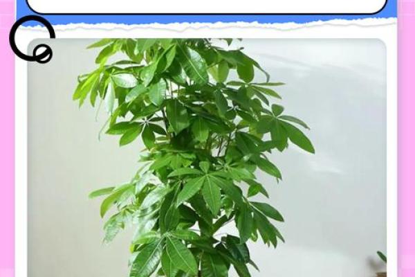 做生意的风水禁忌，想发财必看