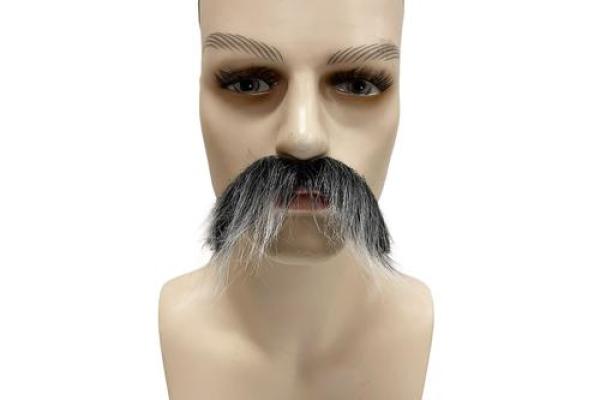 八字胡斑 八字胡斑