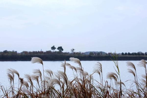 杂谈｜雪舞时节谈寂美，东方八字美学说尽美的奥妙