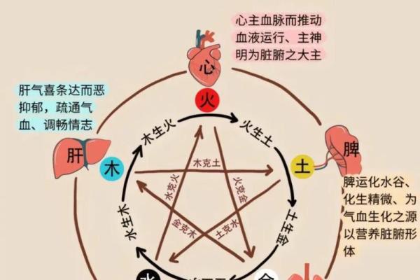 忠厚的男人如何看八字？分析八字中的什么因素最能决定其忠厚品质