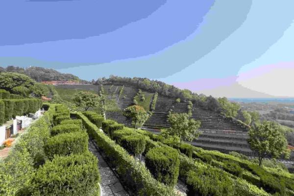 历史上众多名人墓地风水大全集 历史上众多名人墓地风水大全集