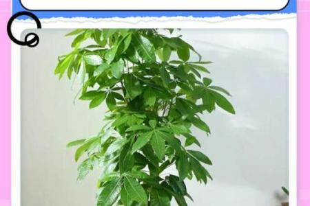 做生意的风水禁忌，想发财必看