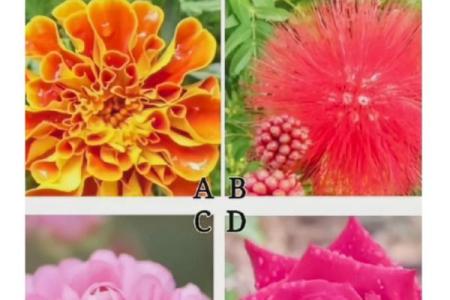 心理测试-四把金钥匙选一，看看你有没有中大奖的命