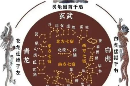 二十八星宿关系配对查询