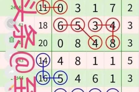 玄奥周易排盘，玄奥周易选号破解版？