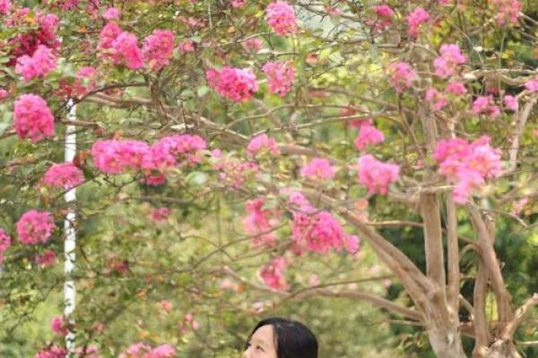 人人都适合有新年目标吗?那些紫薇主星设立目标反而会更糟?唐艺尹老师有趣的紫薇主星分析 人人都适合有新年目标吗?那些紫薇主星设立目标反而会更糟?唐艺尹老师有趣的紫薇主星分析