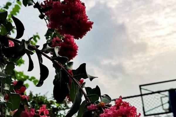 人人都适合有新年目标吗?那些紫薇主星设立目标反而会更糟?唐艺尹老师有趣的紫薇主星分析 人人都适合有新年目标吗?那些紫薇主星设立目标反而会更糟?唐艺尹老师有趣的紫薇主星分析