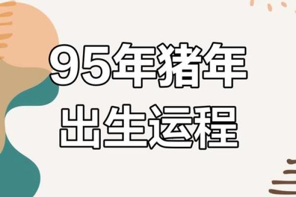 属猪出生最好六个吉日 属猪的出生吉日 属猪出生最好六个吉日 属猪的出生吉日