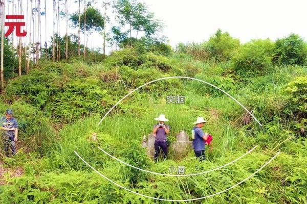 阴宅风水培训_缘分和命运可信不可信呢