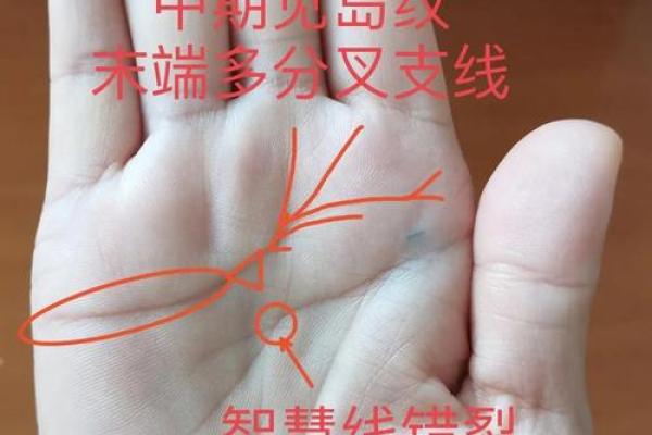 图解：手相中的感情线算命