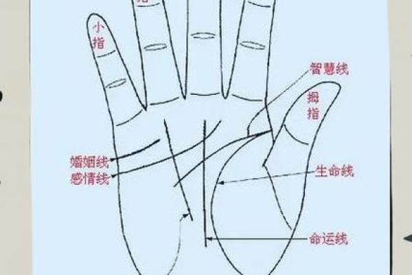 图解：手相中的感情线算命