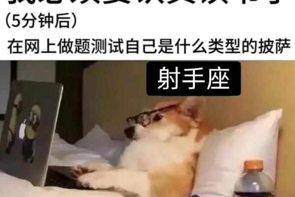 十二星座都适合什么表情包