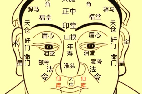 面相算命入门：三停，什么是三停？
