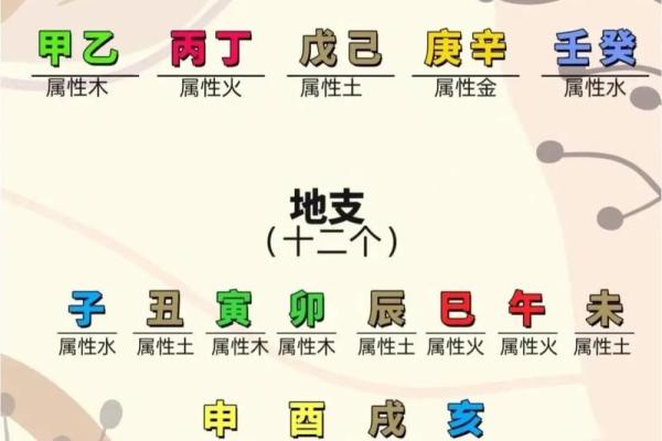十二地支阴阳五行及方位