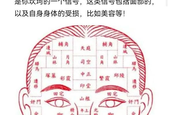 面相算命眼睛
