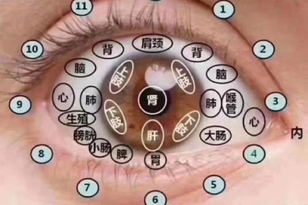 面相算命眼睛