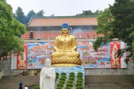 顺德大良宝林寺有算命佬吗