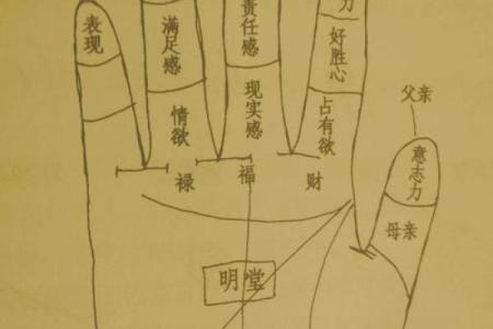 凯帝阿手相算命图解大全06