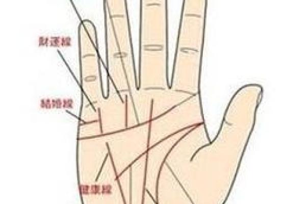 图解：手相中的智慧线算命