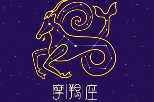 猎鹰上升星座摩羯运势2024 猎鹰上升星座摩羯运势2024