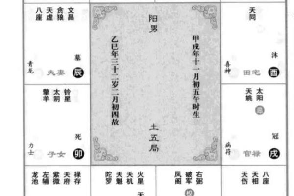 紫薇斗数算读书 紫薇斗数算读书