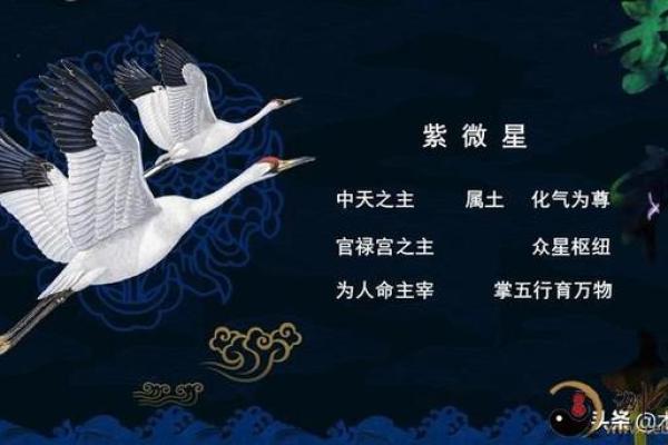 紫薇斗数中的晦气