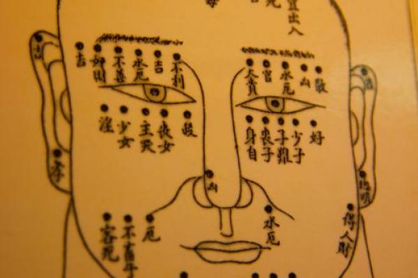 风水解析下垂眼的人性格特征