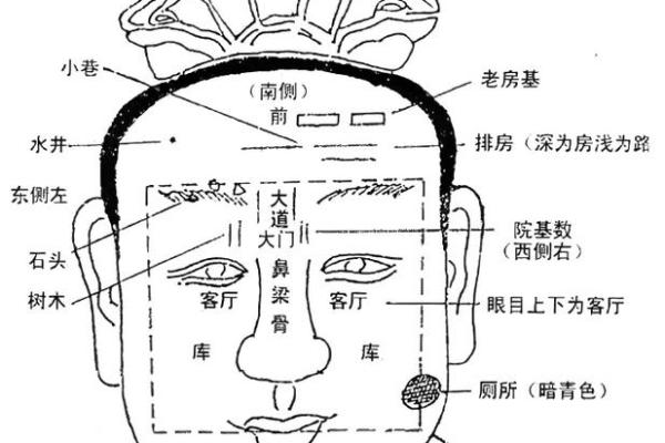 风水解析下垂眼的人性格特征