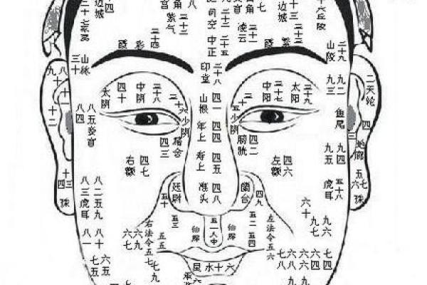 看相算命图解 看相算命图解
