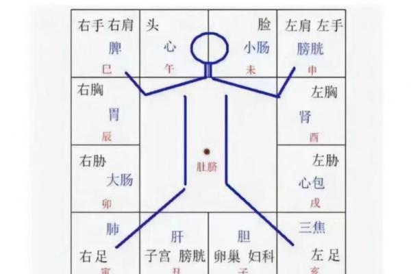 紫薇斗数看学业考试 紫薇斗数看学业考试