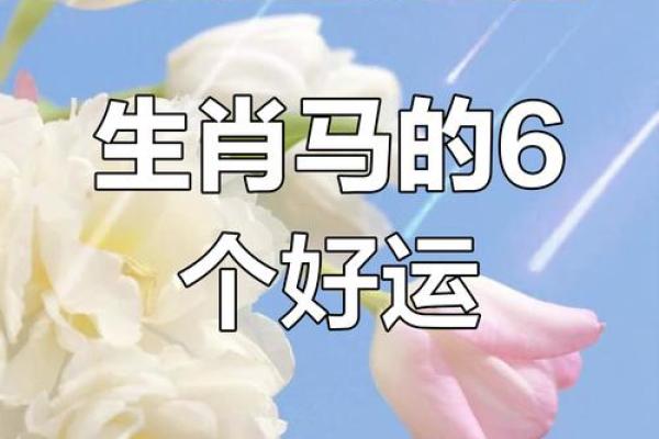 属马出生最好六个吉日 属马的出生吉日 属马出生最好六个吉日 属马的出生吉日
